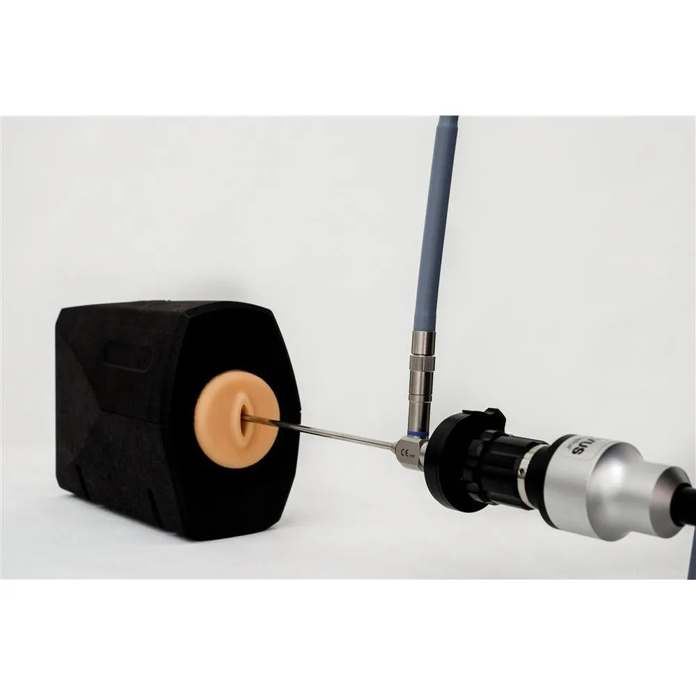 Bozzini™ Hysteroscopy Simulator - POA