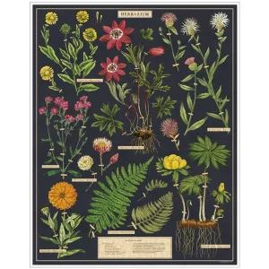 Herbarium Puzzle - 1000 Piece Jigsaw